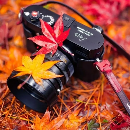 ФОТОКОНКУРС "ПРОГУЛКА"