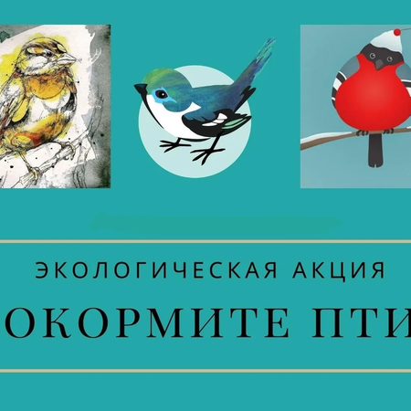 ПОЛЕЗНЫЕ КАНИКУЛЫ