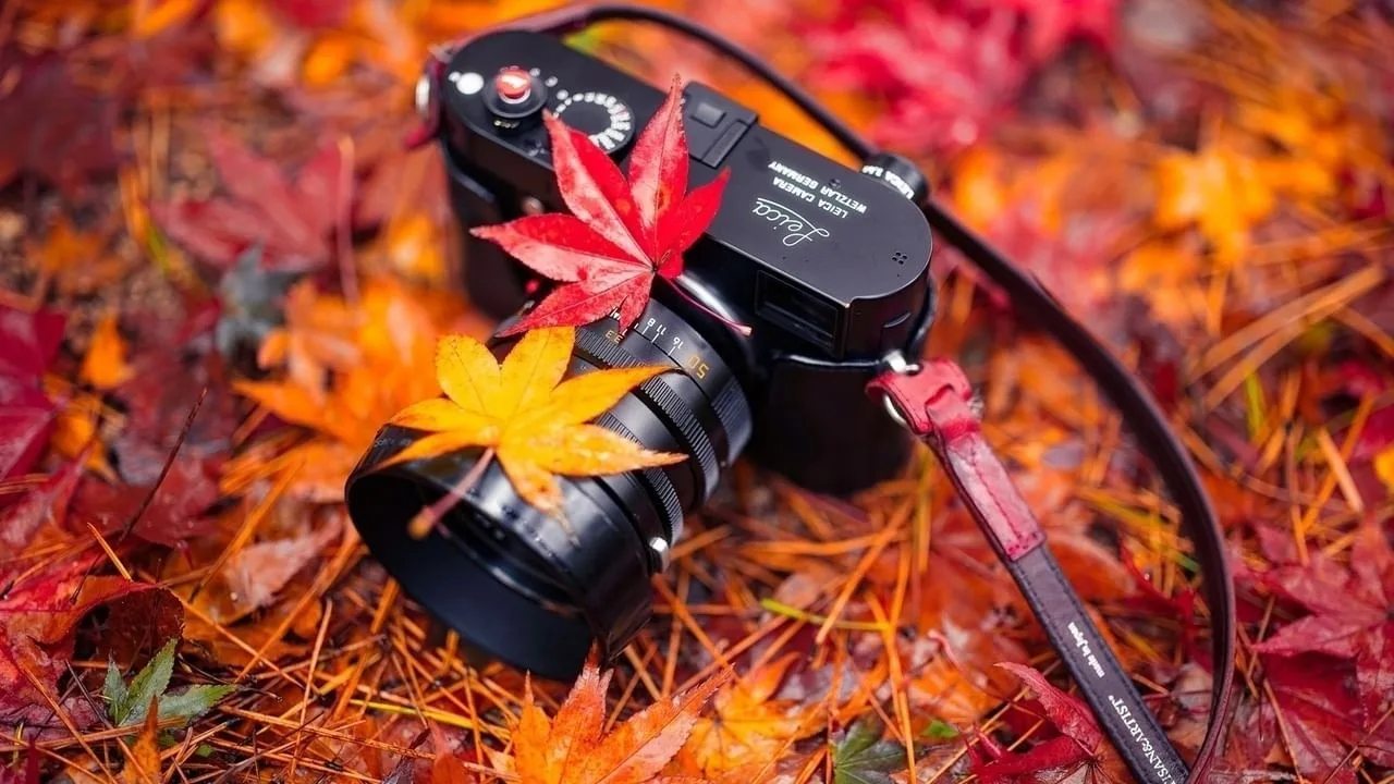 ФОТОКОНКУРС "ПРОГУЛКА"