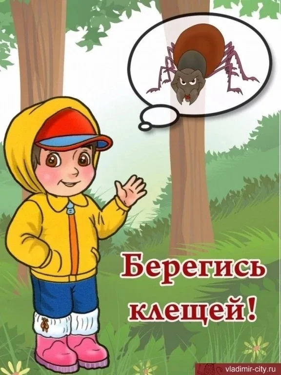 Осторожно – клещи!  Памятка для детей и взрослых